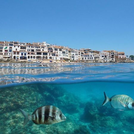 Apartamento Recien Reformado A 300 Metros Del Mar كاليلا دو بالافروجيل المظهر الخارجي الصورة